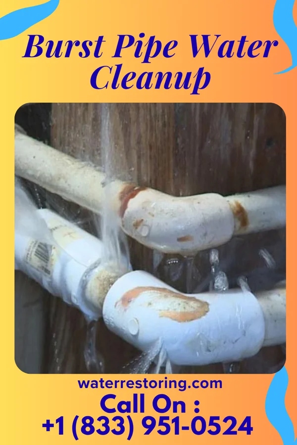 Burst Pipe Water Cleanup in Swarthmore, PA