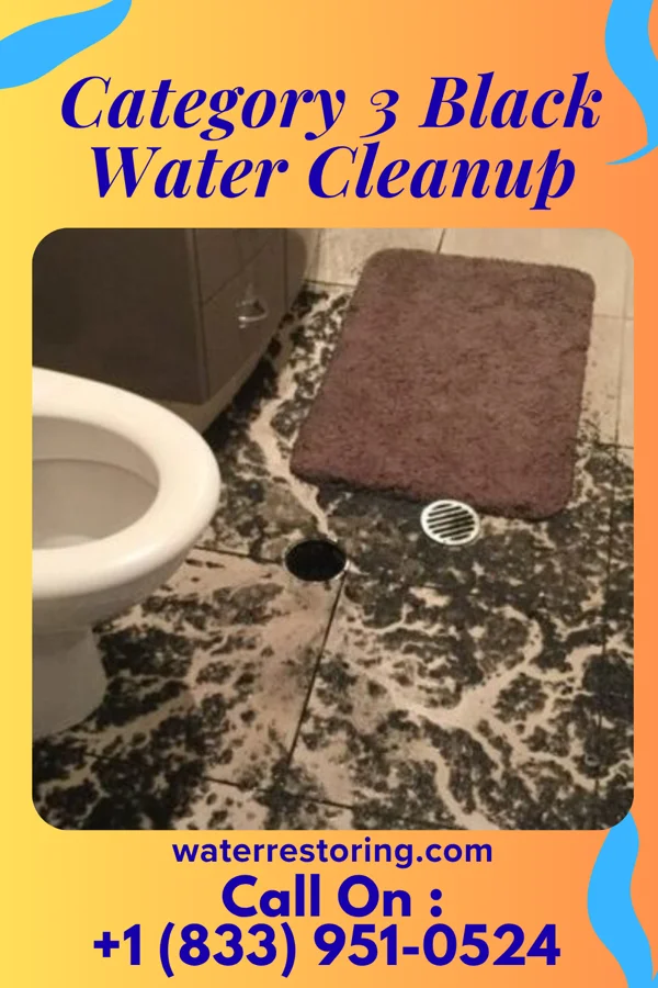 Category 3 Black Water Cleanup in Swarthmore, PA