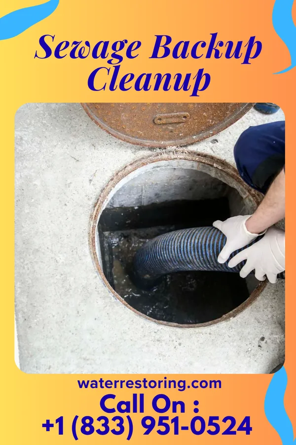 Sewage Backup Cleanup in Swarthmore, PA