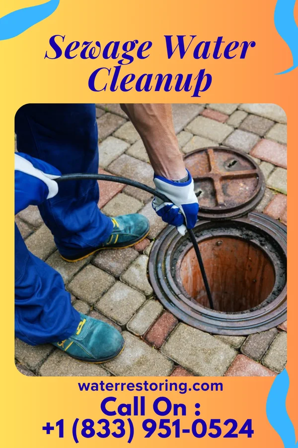Sewage Water Cleanup in Swarthmore, PA