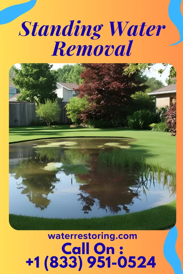 Standing Water Removal in Swarthmore, PA